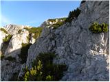 Jakobe - Feistritzer Spitze